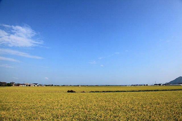a0242438_19183661.jpg