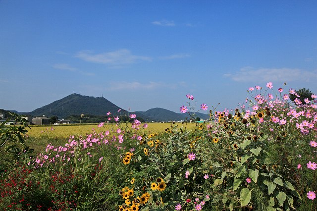 a0242438_19191365.jpg
