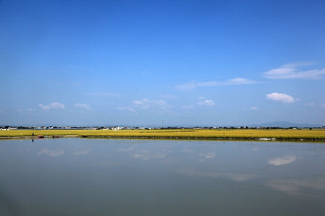 a0242438_1920727.jpg