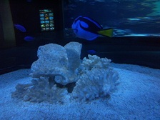 d0244839_0203968.jpg