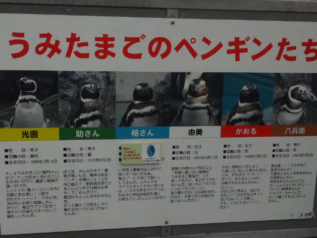 d0244839_04023.jpg