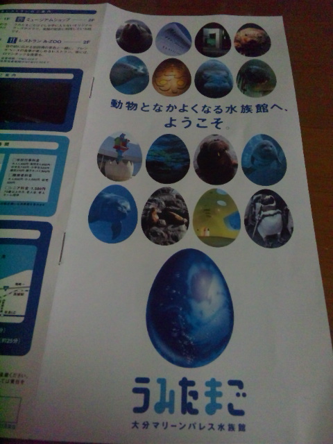 d0244839_043734.jpg