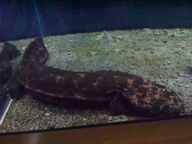 d0244839_05107.jpg