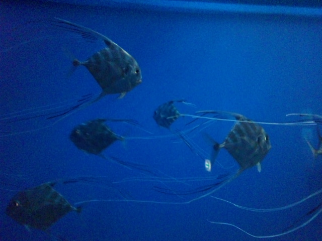 d0244839_072562.jpg