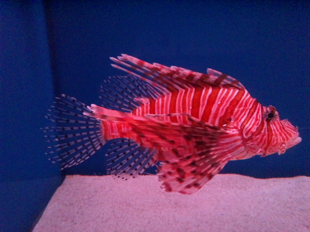 d0244839_08147.jpg