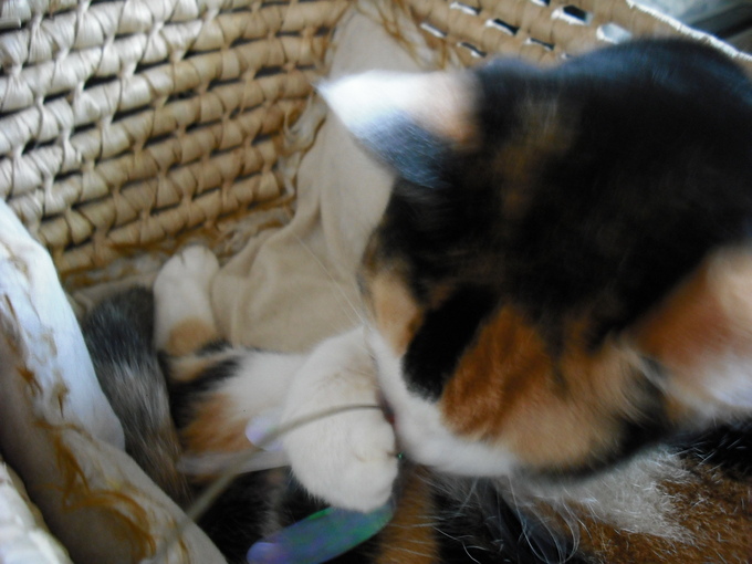 c0194042_2181888.jpg