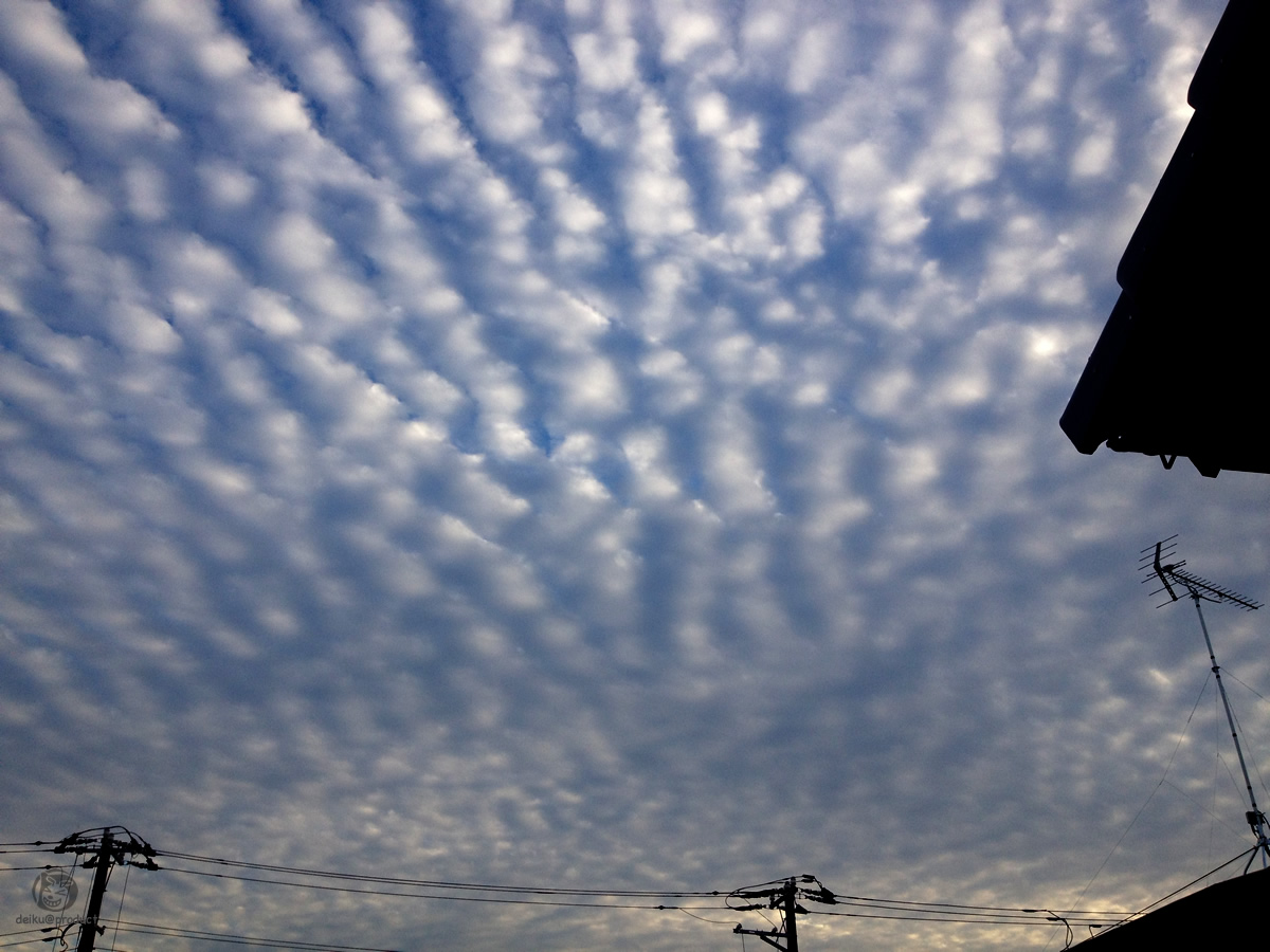 e0106146_928273.jpg