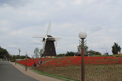 c0117570_1231956.jpg