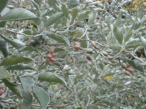 e0292172_20344074.jpg