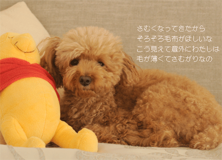 c0196673_1043324.gif
