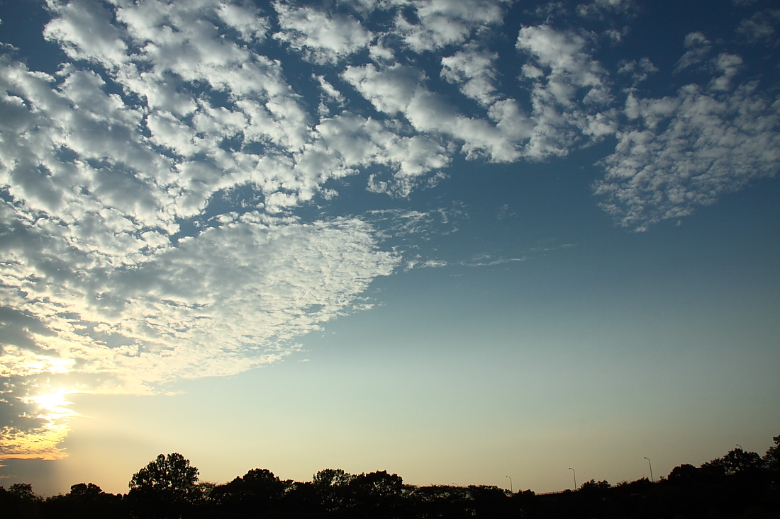 e0249878_227945.jpg