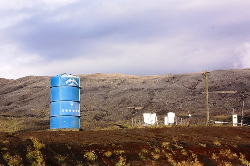 c0204385_022442.jpg