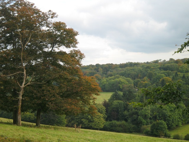 f0141785_5343032.jpg