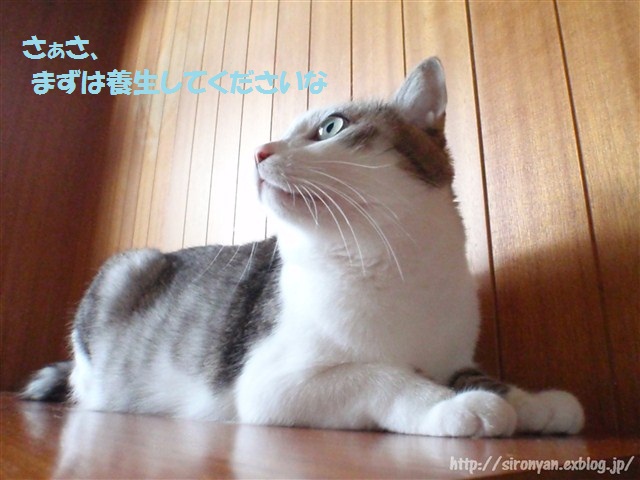 a0159490_14362011.jpg