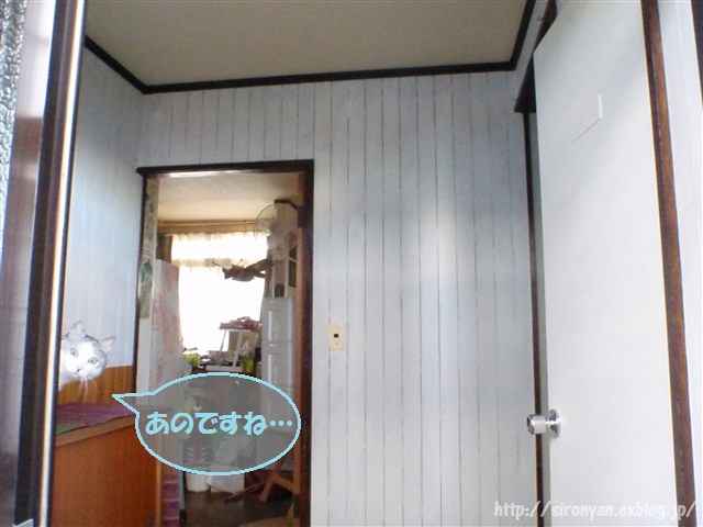 a0159490_14431021.jpg