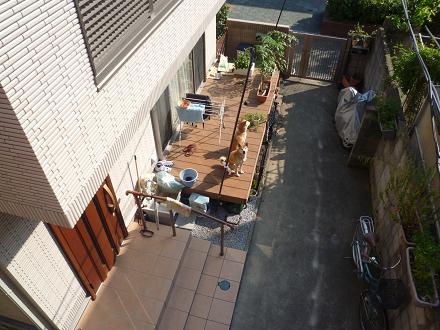 c0123890_1624149.jpg