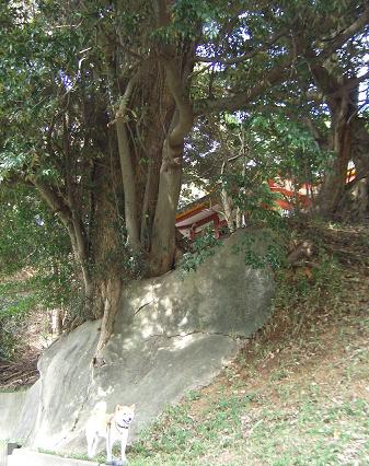 e0023790_23305391.jpg