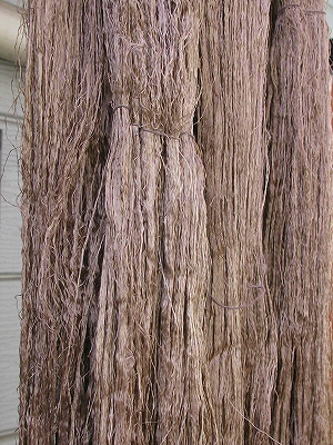 f0181394_1431124.jpg