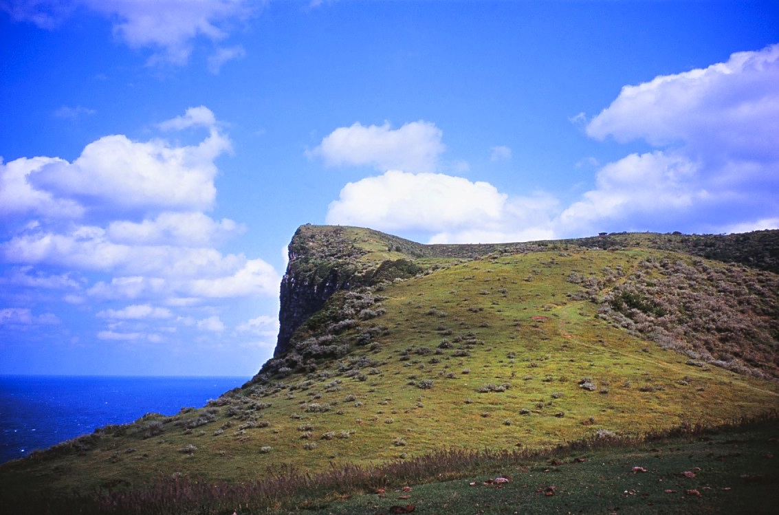 d0242696_2349189.jpg