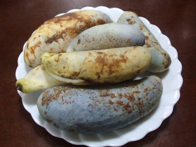 f0019498_183106.jpg