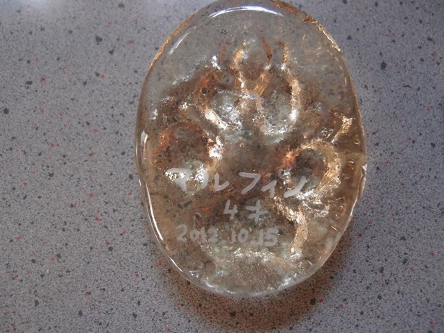 e0018604_20433381.jpg