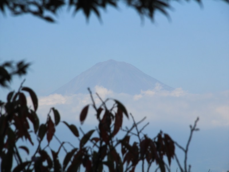 a0188405_10542891.jpg