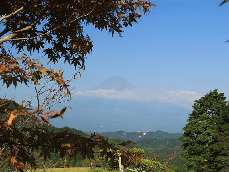 a0188405_10582617.jpg