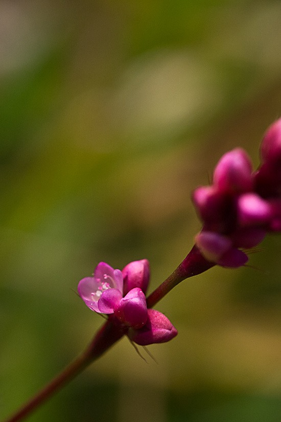 d0036708_2233208.jpg