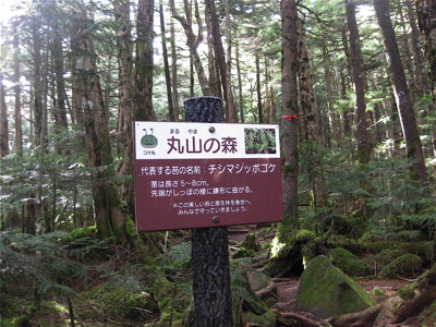 a0164011_12552516.jpg