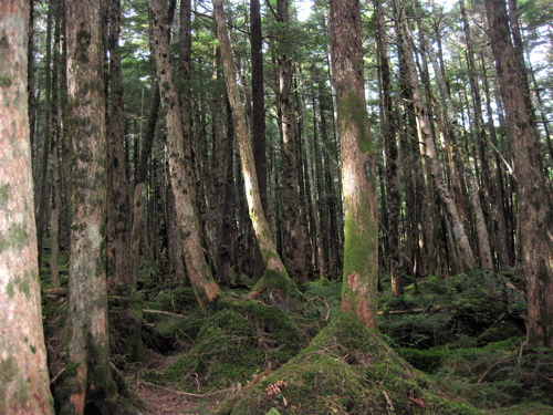 a0164011_12554350.jpg