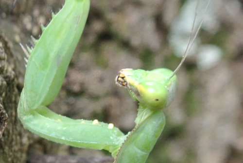 f0218012_21313612.jpg