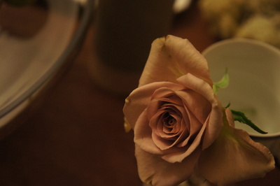 e0291313_91899.jpg