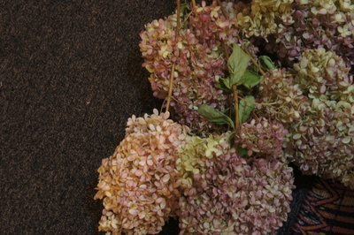 e0291313_94424.jpg