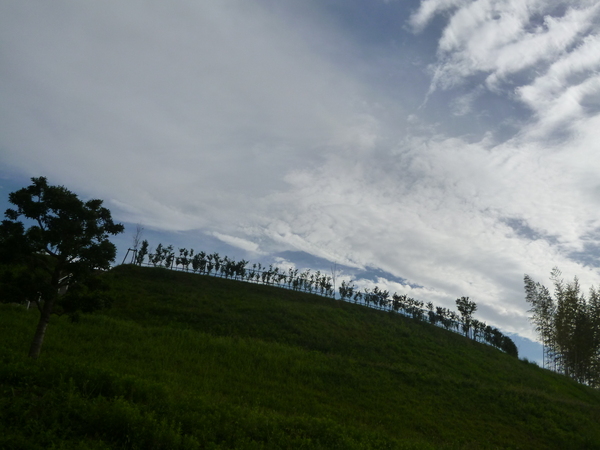e0233614_846426.jpg