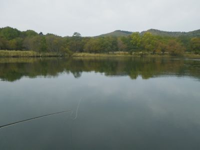 a0086316_17111427.jpg