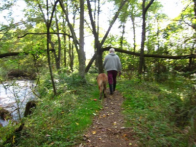 e0192217_1039928.jpg