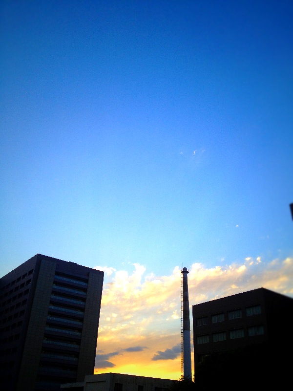 e0057318_482433.jpg