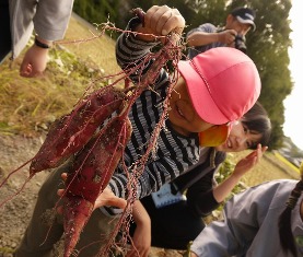 c0166720_1846140.jpg