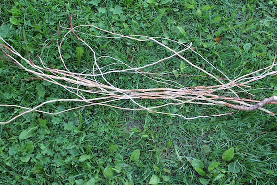 e0187320_10393989.jpg