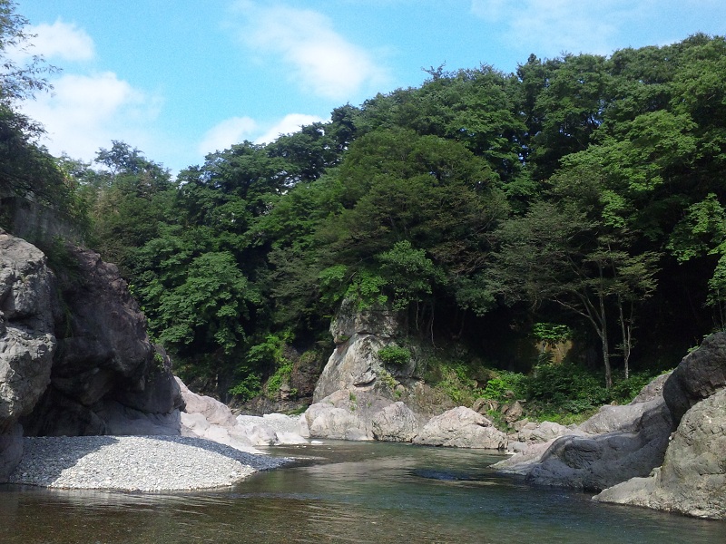 b0199924_17371923.jpg