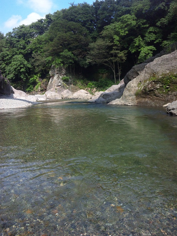b0199924_17373520.jpg
