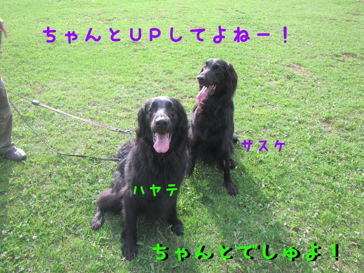 c0237824_21392998.jpg
