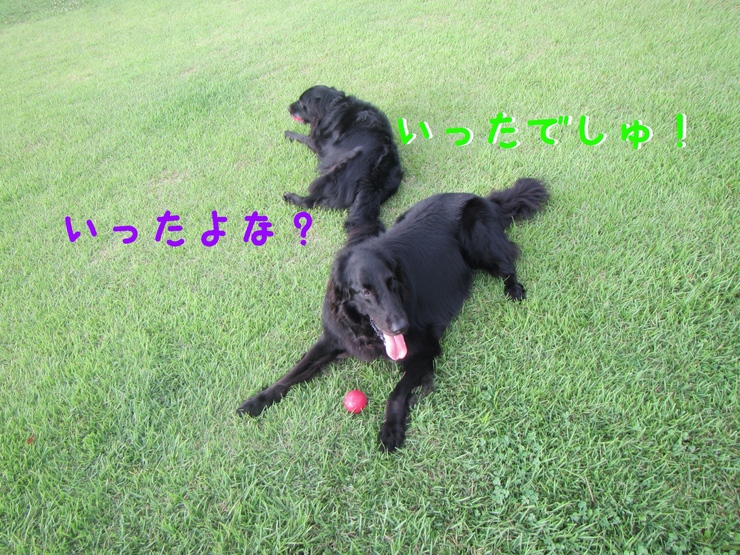 c0237824_21535679.jpg