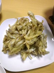 b0102728_924779.jpg