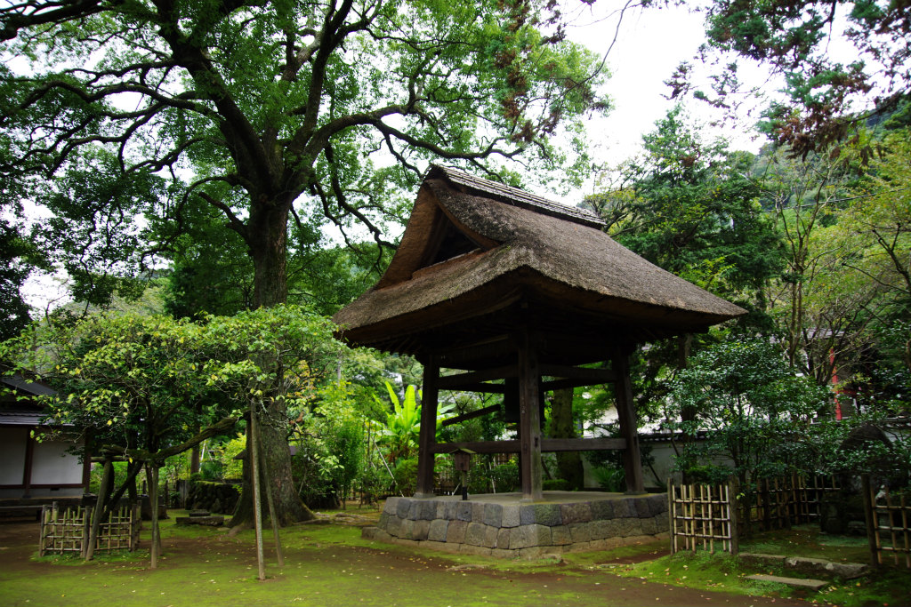 d0250028_7473789.jpg