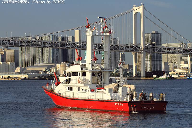 a0195032_2052725.jpg