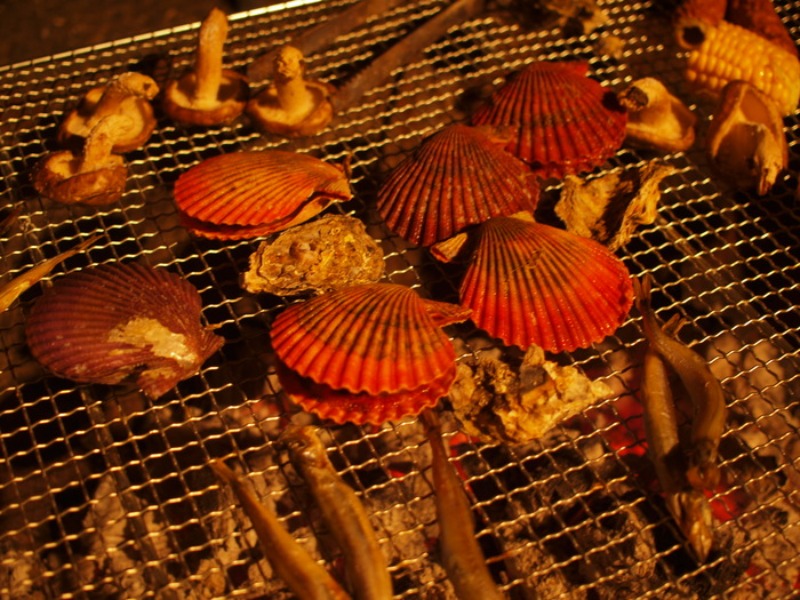 b0135432_1593158.jpg