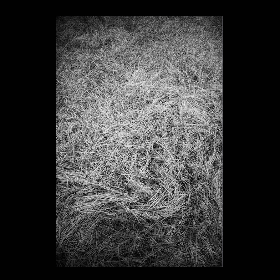 d0004832_19422181.jpg