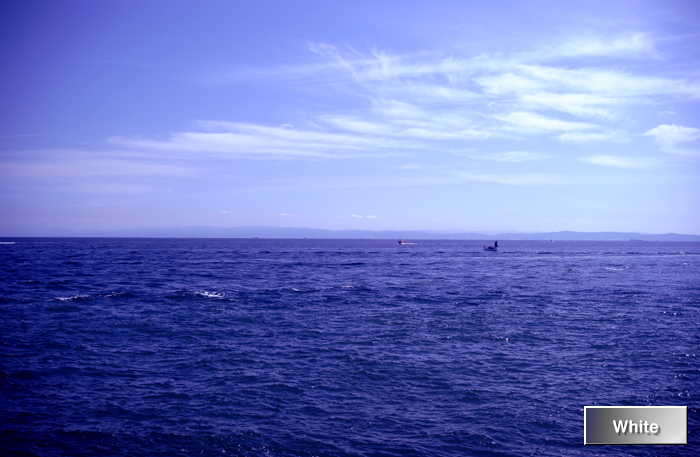 c0227134_6525477.jpg