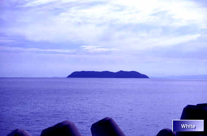 c0227134_6593343.jpg